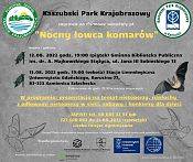 Nietoperzowe warsztaty Grafika Nietoperzowe warsztaty