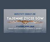 Warsztaty tajemne życie sów Grafika Warsztaty tajemne życie sów