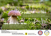 Wystawa grzybów Grafika Wystawa grzybów