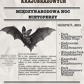 Międzynarodowa noc z nietoperzami Grafika Międzynarodowa noc z nietoperzami