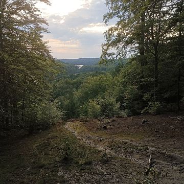 Aktualności Grafika Aktualności